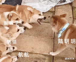 |《请叫我总监》收视上升,林更新化身陆怼怼,网友齐齐喊话快破产