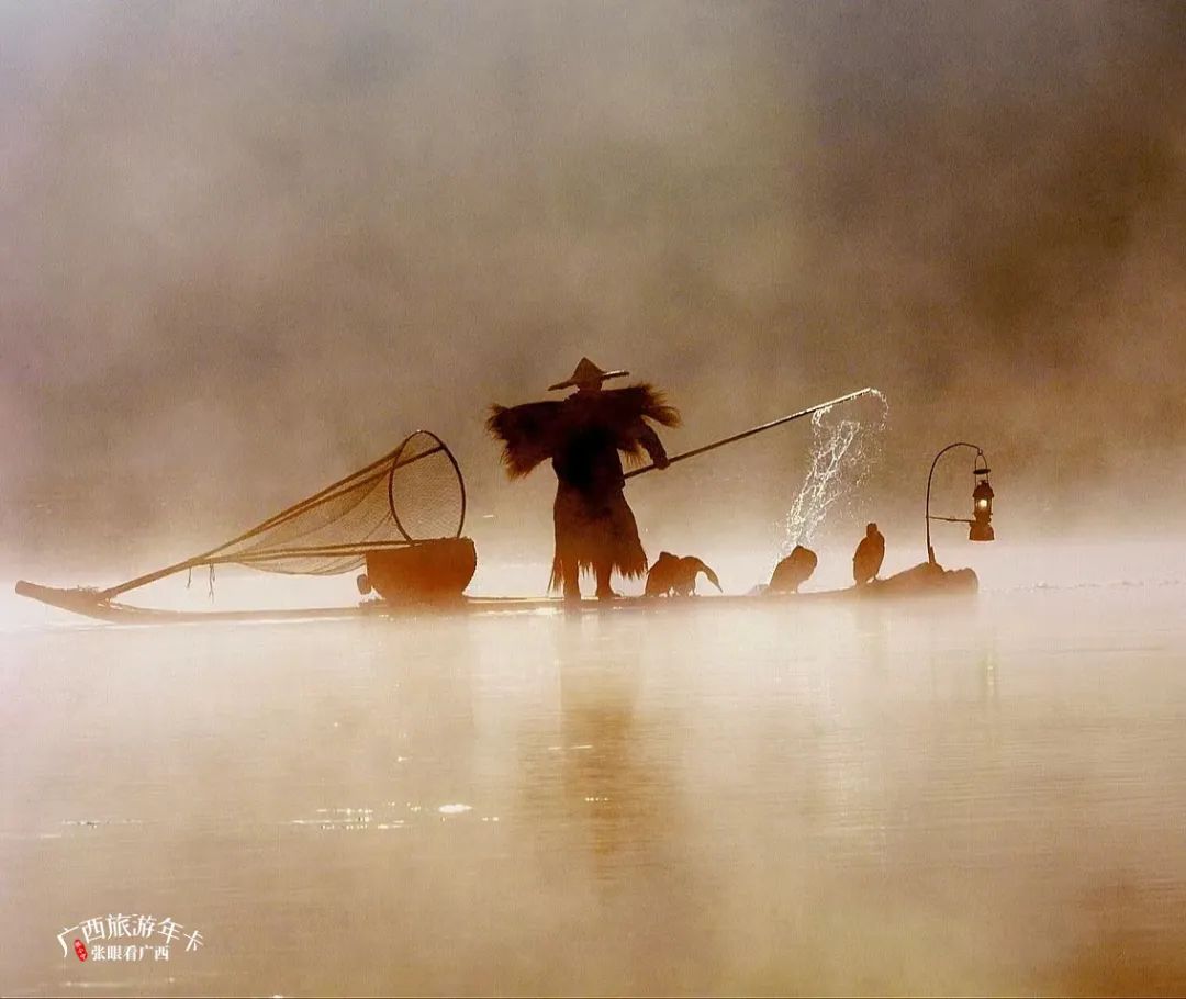 浙江省|你好，十二月！共赏冬酿的时光！| 广西旅游年卡