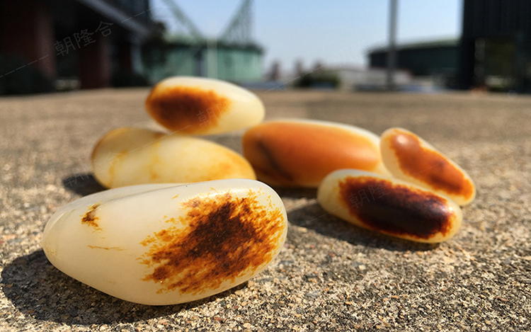 和田玉籽料|高烧不退的“和田玉原石”!