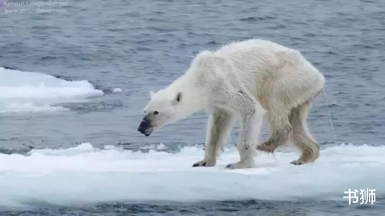 地球已发现多个“史前高科技”,人类真的是第一批智慧生物吗?