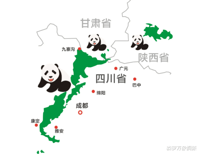 野生大熊猫有可能自行迁徙到邻国,从而成为不是中国独有物种吗