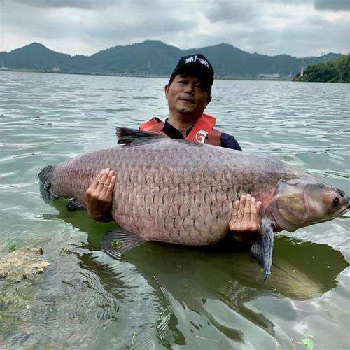 短视频|25年前你敢像邓刚一样辞掉年薪20万的工作去钓鱼吗？