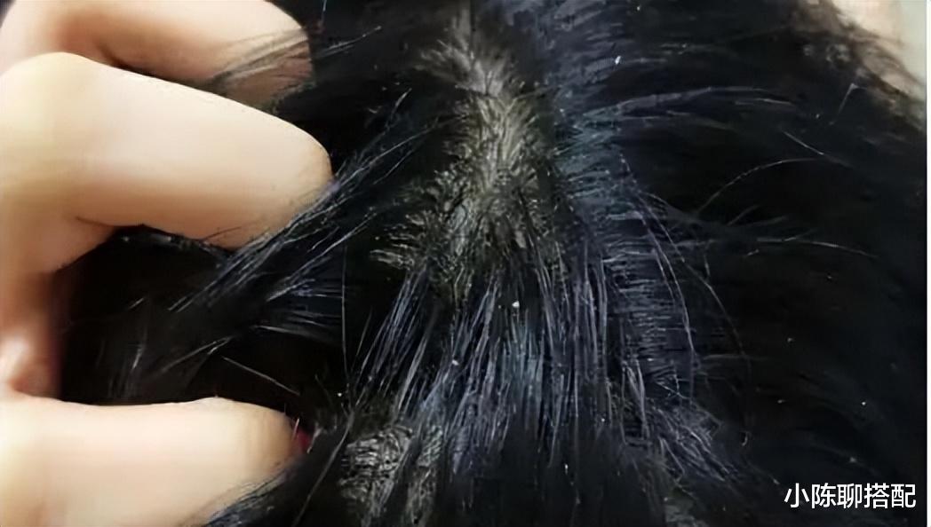 发型 女人有没有气质，看她的发型就知道了，差别不是一般的大