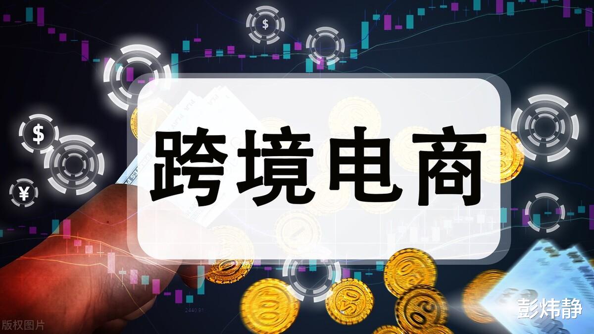 域名|打败阿里和亚马逊，估值过1000亿，中国神秘电商海外疯狂吸金