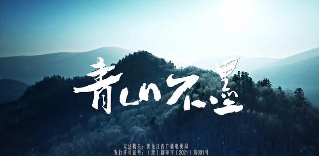 青山不墨|《青山不墨》主角的演技,也像王洛勇的人设风格一样,绵厚雄浑