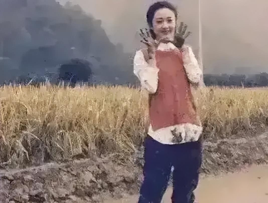 明星|明星回农村的样子，一个比一个接地气，来看看有你老家的吗