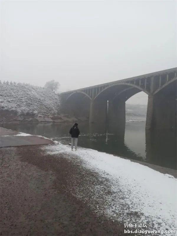 饵料|垂钓雪中景,雪中好鱼情