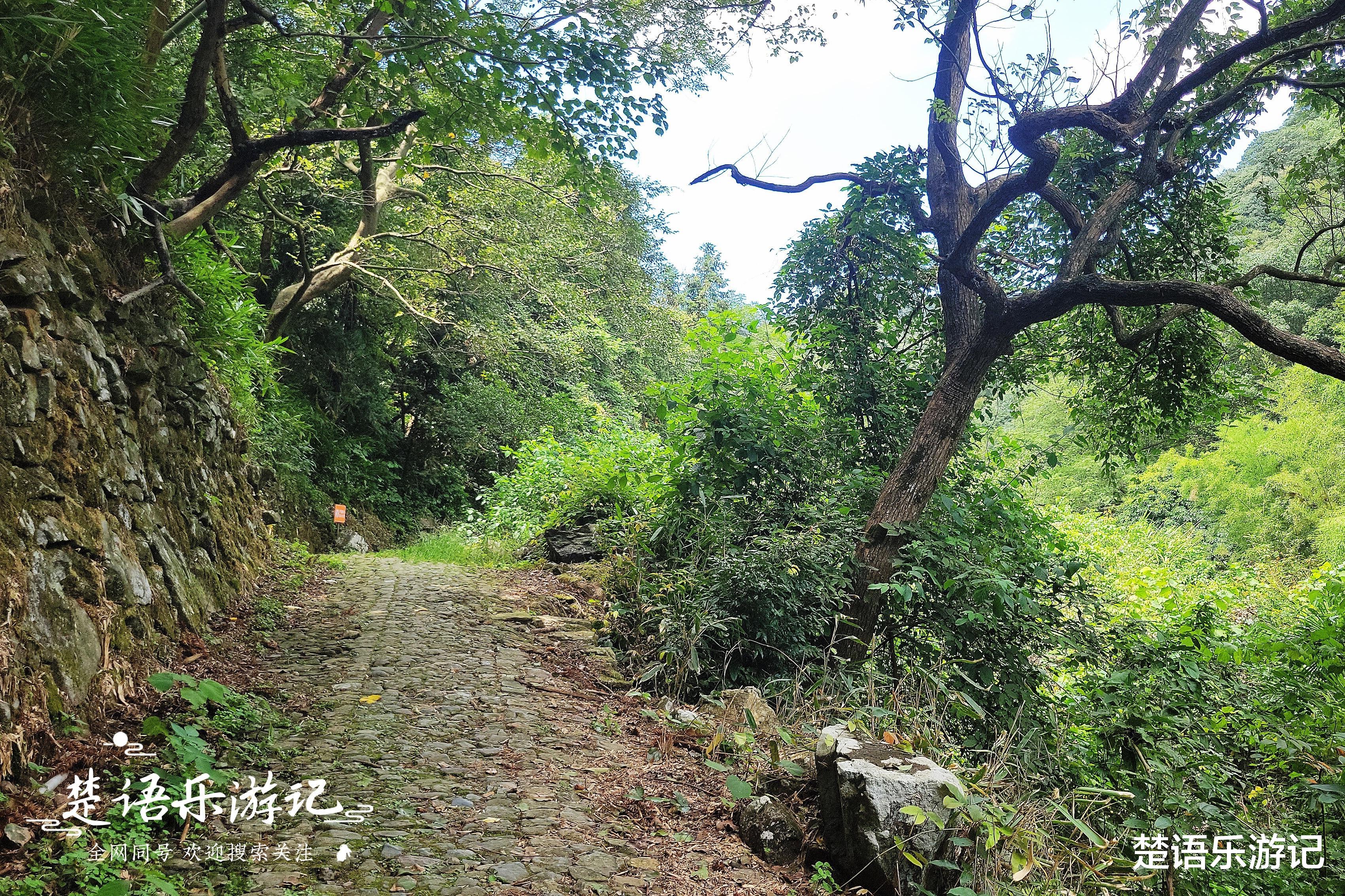 宁波|浙江这个网红村风景如画，隔壁村庄也成为网红村，一并游玩更惬意