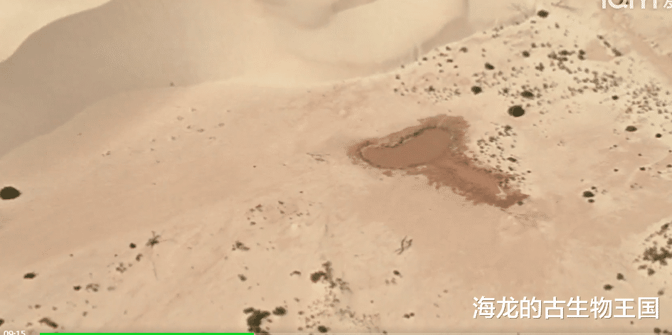 当丽齿兽遇上迷龙!不相上下的对抗正式开启!
