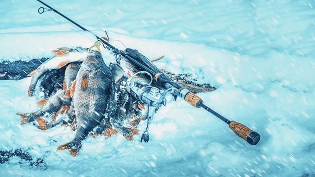 |冬季钓鱼的四个小妙招，老钓手都知道
