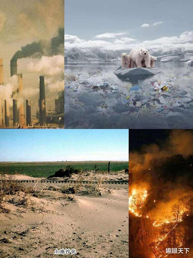 地球正进入第六次生物大灭绝?科学家发现几大可怕迹象,令人担忧