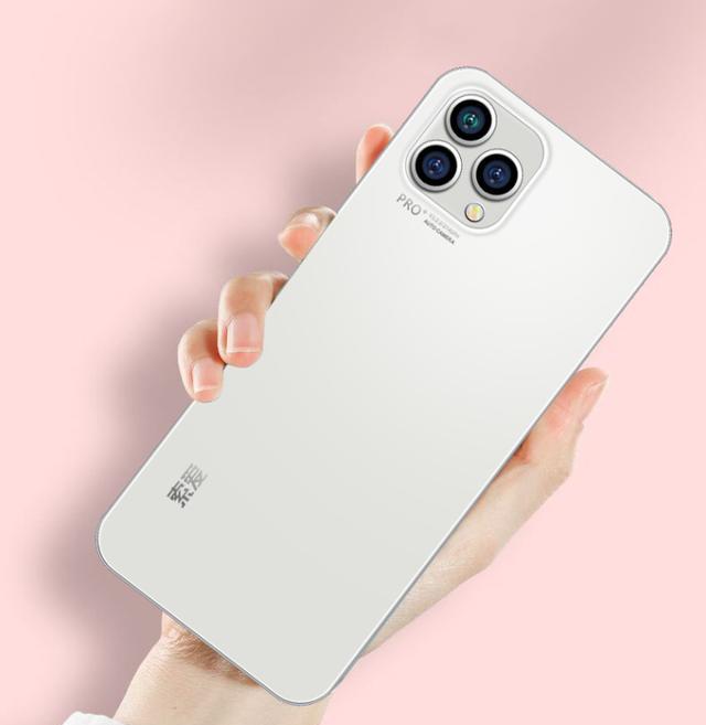 |仿iPhone外观,8+256G才卖918元?小品牌有大潜力