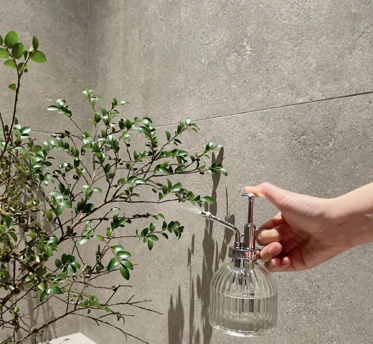 我明知道这10个家居物件,颜值很高,但见到实物后还是被美到了