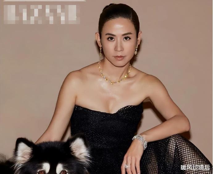 TVB|鞋拔子脸、厚嘴唇,明明get不到美,却被夸上天的14位女港星
