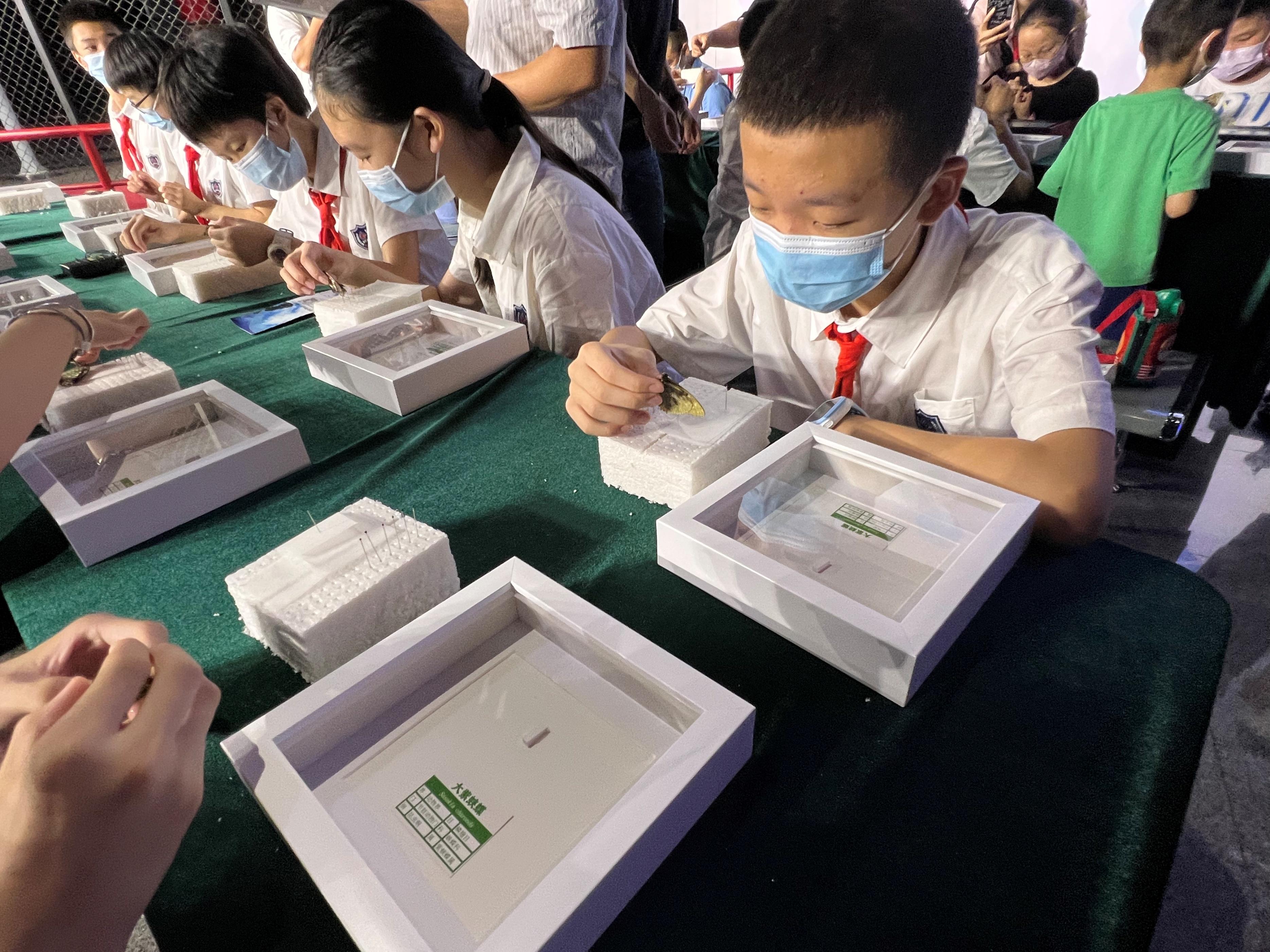 来自蝴蝶王国的邀请函,“生物之美——蝴蝶”主题科普展正式开展