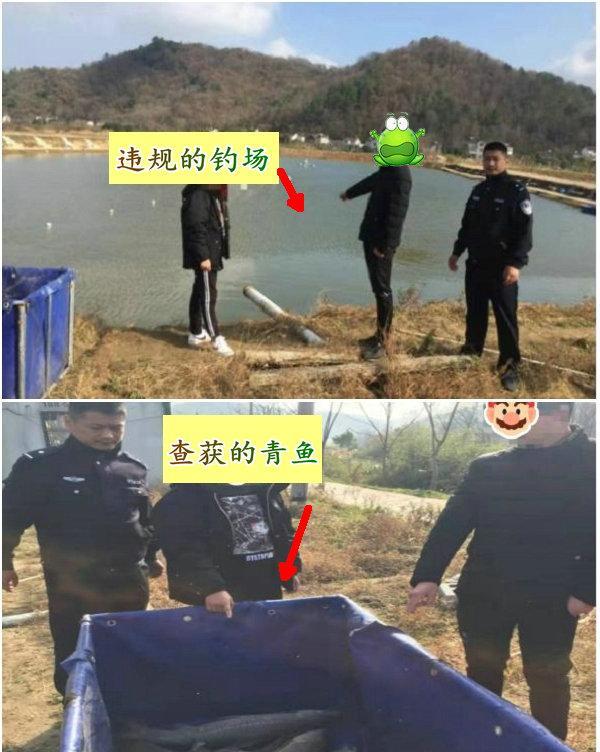 安徽|2.5万斤青鱼、400万元,安徽一钓场变赌场,多人被抓,多人被抓