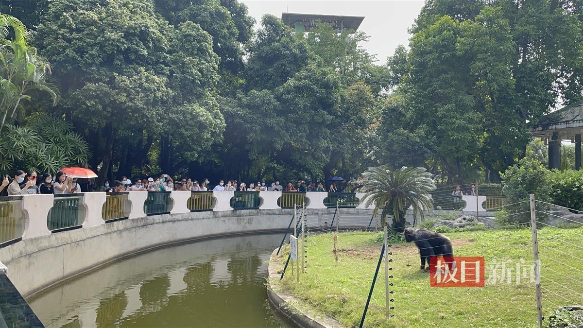 “南宁动物园没有正经动物”,冲上热搜,专家揭秘幕后原因