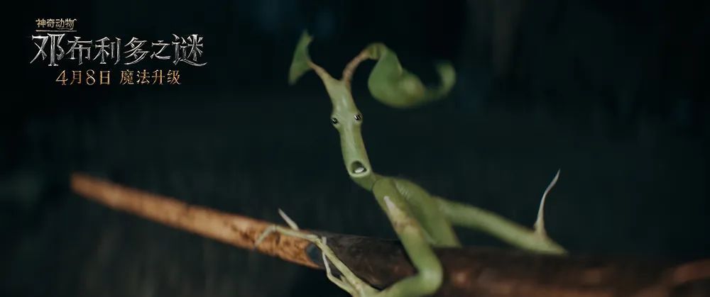 哈利·波特|《神奇动物》神奇不再，罪在J.K.罗琳