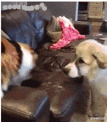 发型|“毕业照老师坐的这个位置，发型浑然天成啊！”笑岔气了！