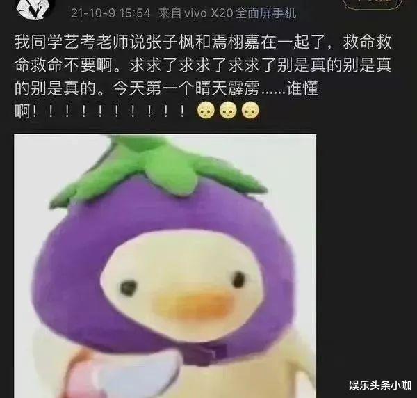 焉栩嘉|国民妹妹爱上渣男，一年劈腿三次？