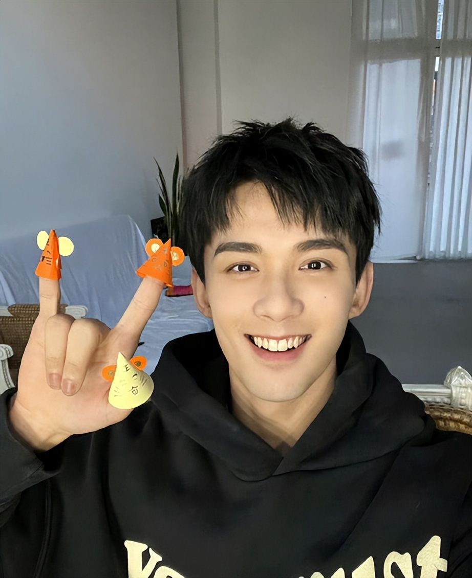 吴磊|吴磊毕业延期,本人解释是因为工作忙,网友这一次对他很宽容