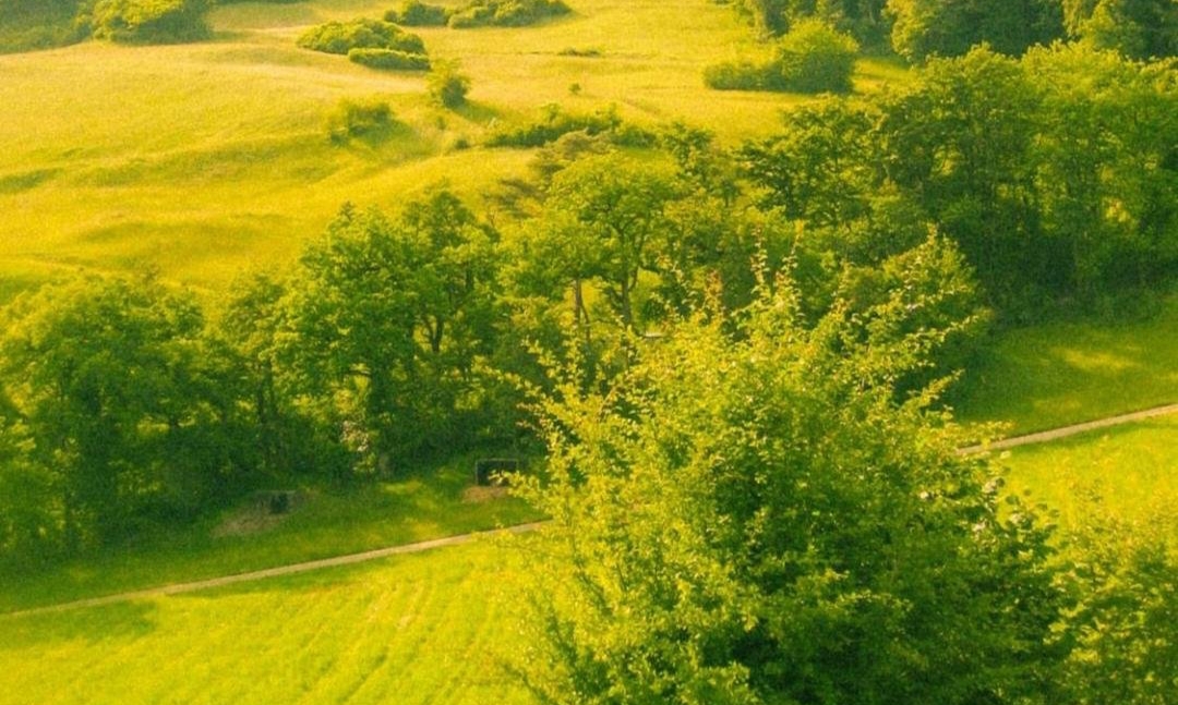 教师|安徽巢湖今年无教师招聘计划，校际间的教师调剂会是今后的趋势吗？