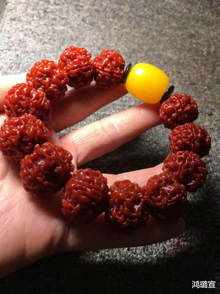 金刚菩提|文玩金刚菩提断齿竟然是刷掉的！真的是这样么？