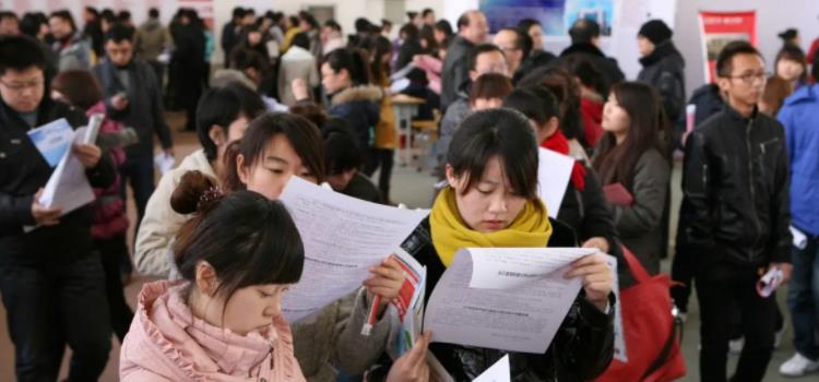 求职|名校毕业的博士生，以为能“稳进”研究所，可惜却败在了第一学历