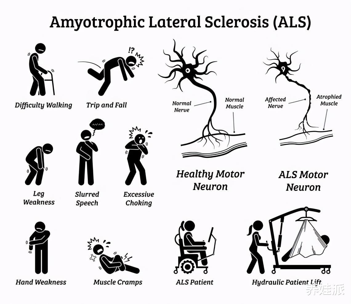 一夫一妻导致自然选择失效,人类进化停止?研究:正在加速