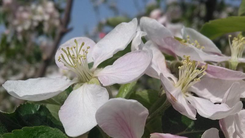 广州市|平凡，是必然，特别，是偶然
