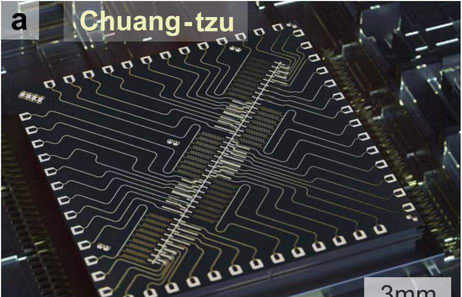 CPU|中科院发文，43量子比特处理器曝光，中国量子计算机世界顶尖