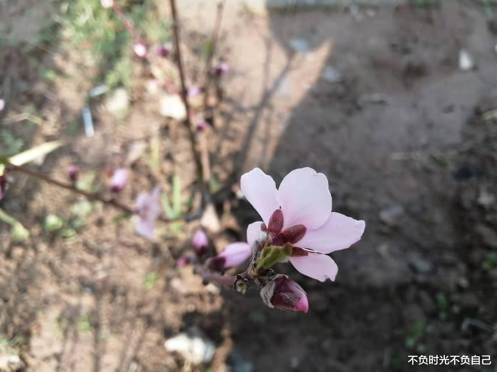 |愚人节,皮一下