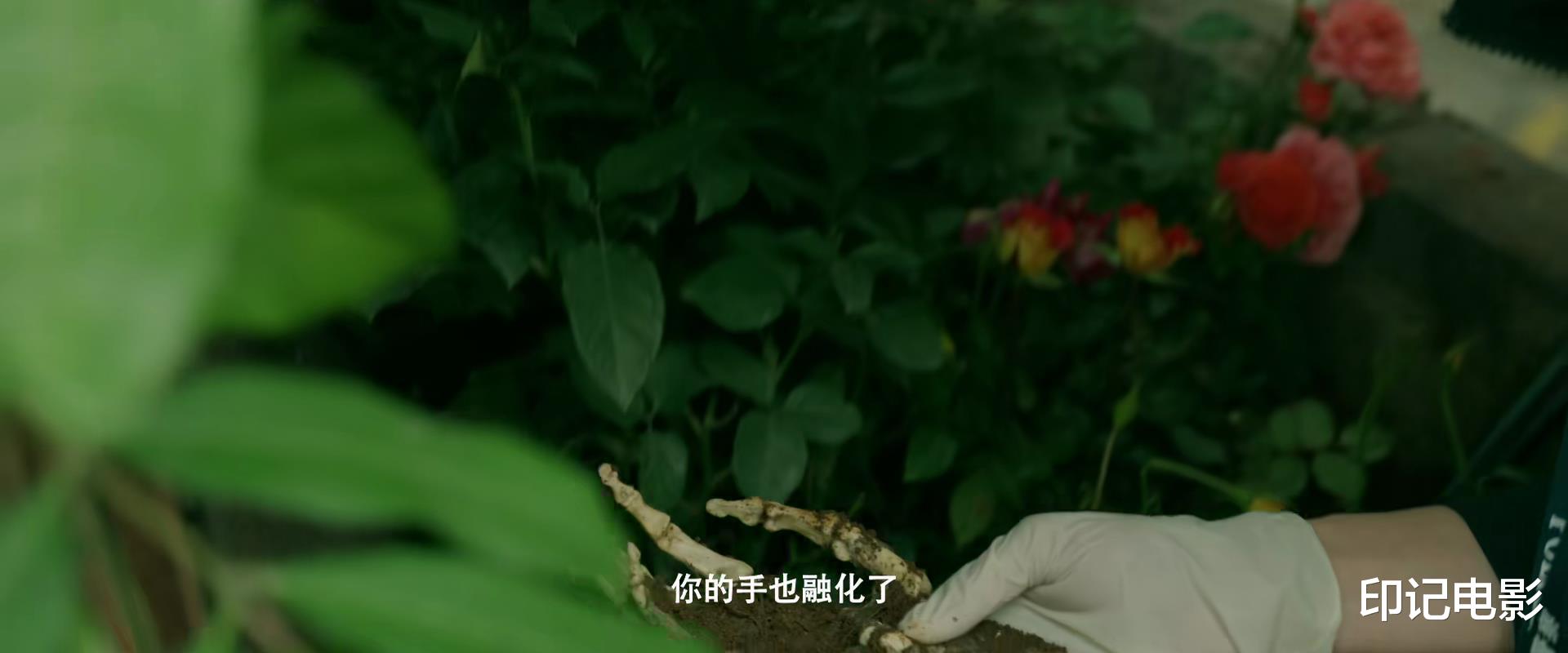 冯小刚|《回响》接档迷雾剧场,冯小刚的首部悬疑剧,稳吗?