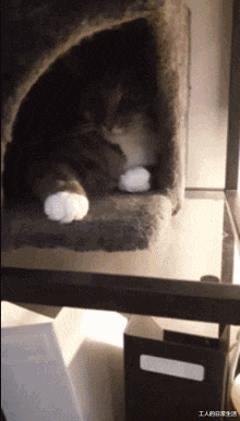 |成仙不知道,可以能成低保户