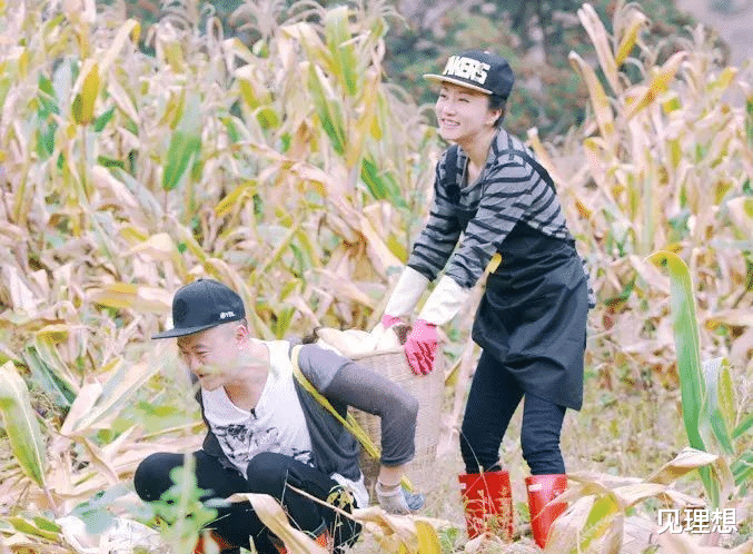 向往6|《向往6》翻车了？被曝请两位阿姨专门洗碗，主持人和嘉宾只拍几天就走！