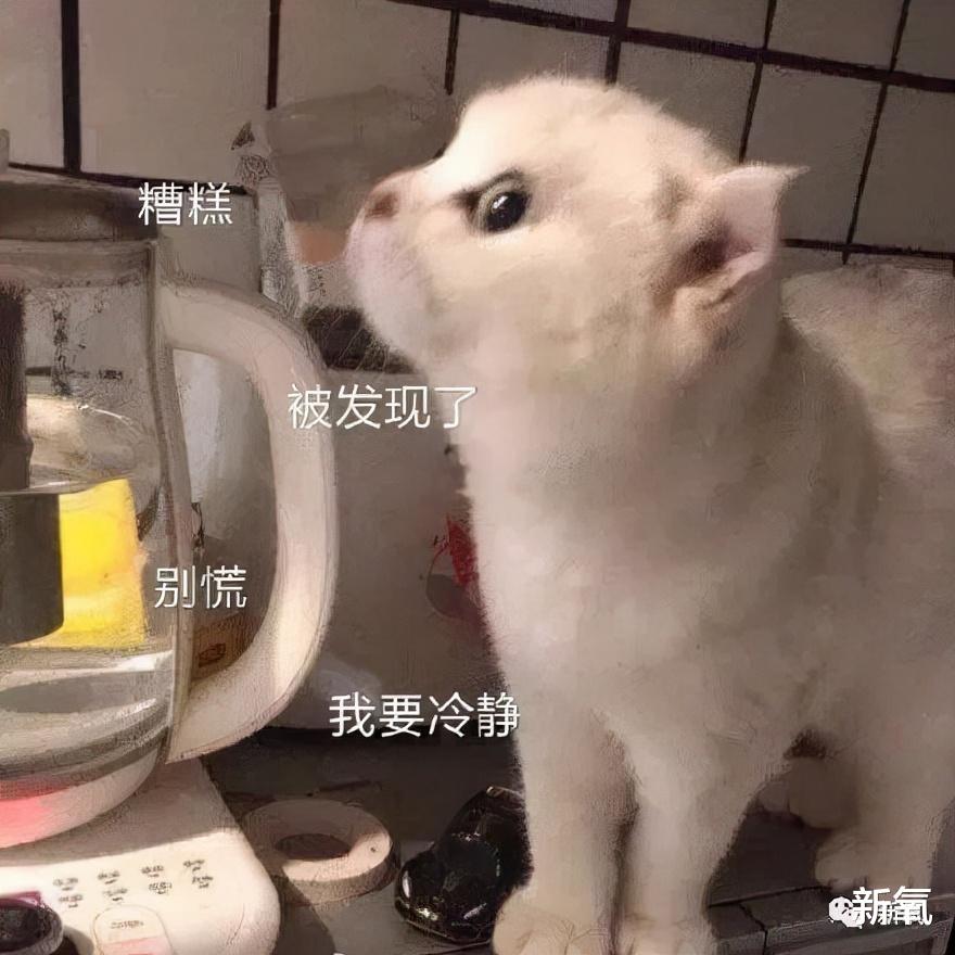 水果 这就是新旧女团风格转变的标准吗？