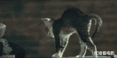 功夫片|传奇！49年前一部3流香港功夫片，凭什么让高傲的西方人给跪了？