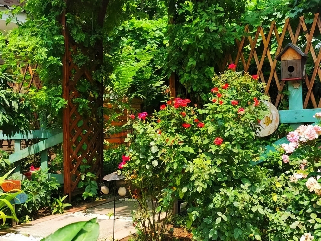 一个简单的花架,却美了整个院子