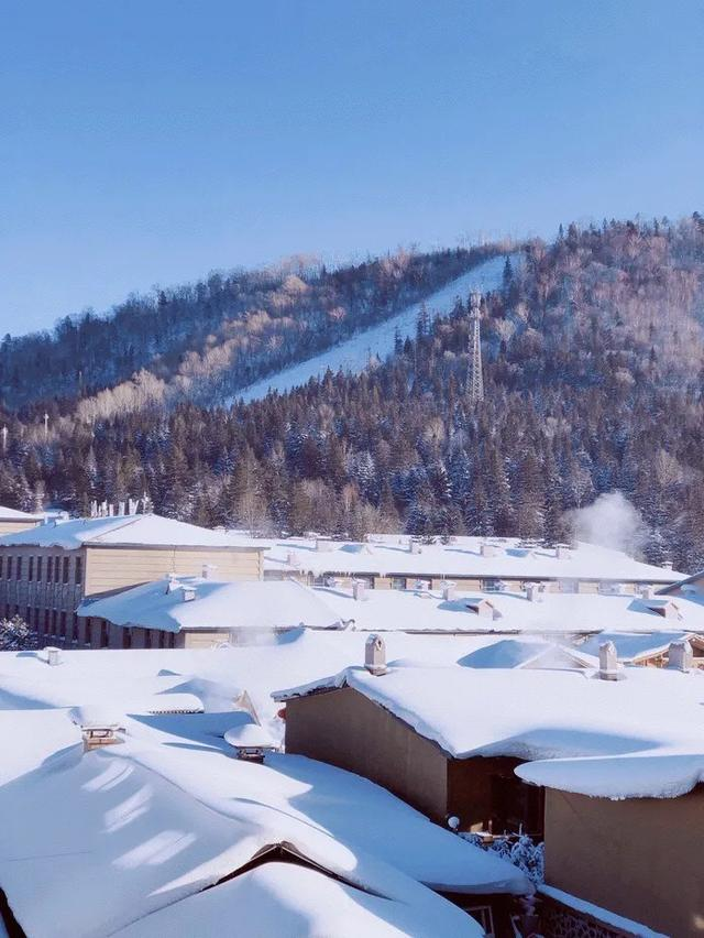 为什么东北人很少有碰瓷的？