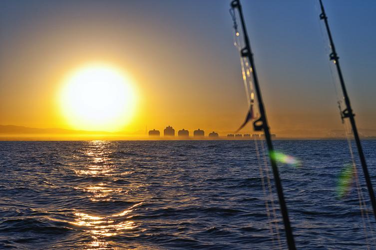 鲢鳙|哪个省份钓友多?对这个钓鱼大户众说不一,看我是怎么排位的