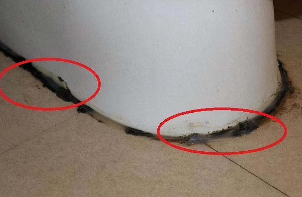 卫生间玻璃胶发霉怎么办?别用钢丝球,教你这么做,干净又杀菌