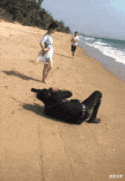 南瓜|“女朋友在公司睡太多,回家都不睡觉了...干中介的心酸泪”