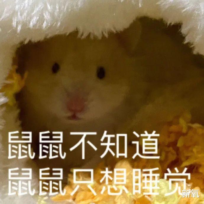 多巴胺|一吻翻红！朴敏英的《月水金火木土》甜疯了，一场吻戏直接鲨到