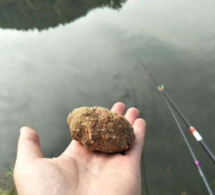 |打窝之后马上下杆，还是等许久再下杆？其中有什么差别？