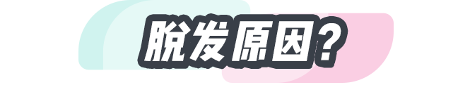 植发 经常掉发是怎么回事？医生：你身体可能缺少这5种营养素，要补充
