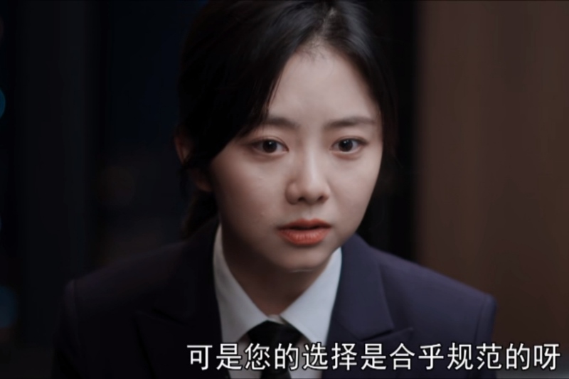 程霄|《向风而行》看到谢泽天试探江韬,才懂程母的“心病”从何而来