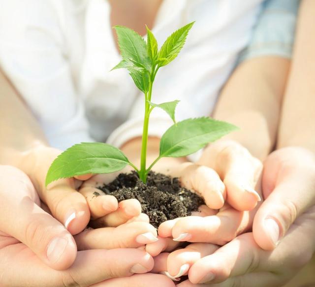 |生命是宝贵的,这种宝贵就体现在你能不能为自己的人生负责