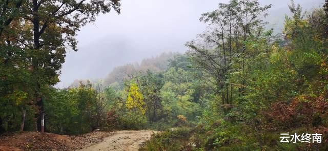 杭州|沣峪旁能轻松看山景的山头,适合家庭组团去,还有第一大的卧佛