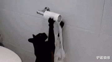 卫生纸有个“小机关”，按2下放家里太实用，可惜很多人不知道