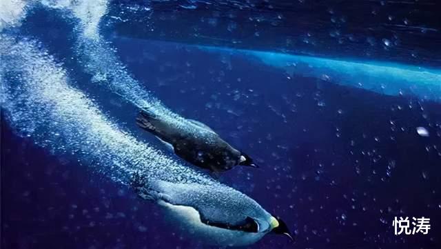 腾讯|腾讯的信号：聚焦实体经济！